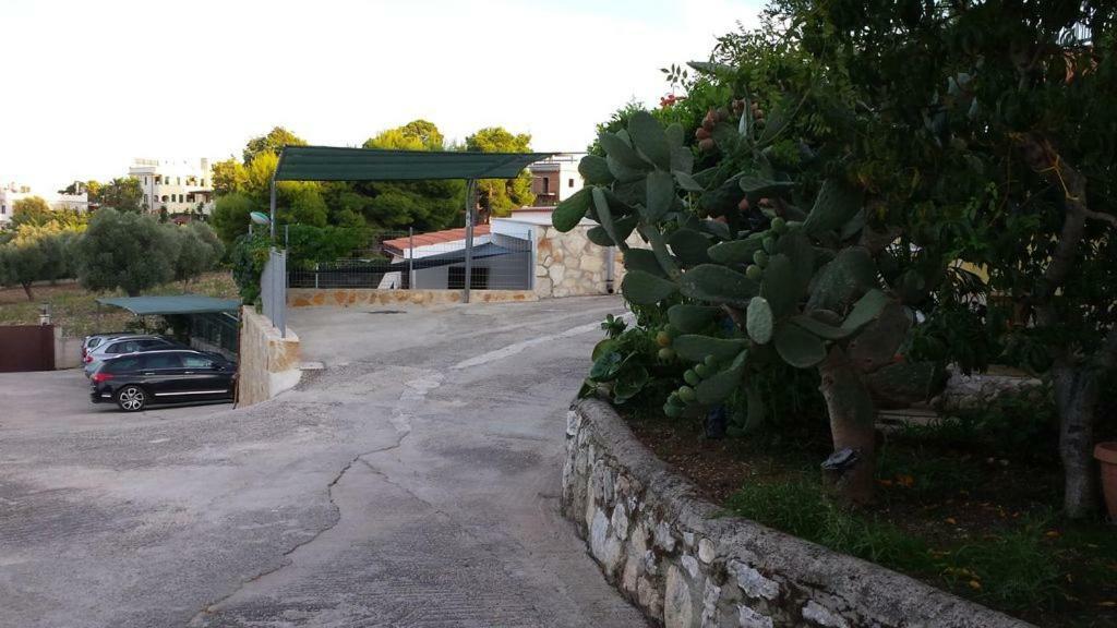 Villa Lucrezia Trilo Vieste Exteriör bild