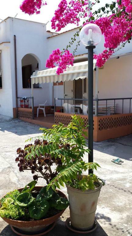 Villa Lucrezia Trilo Vieste Exteriör bild